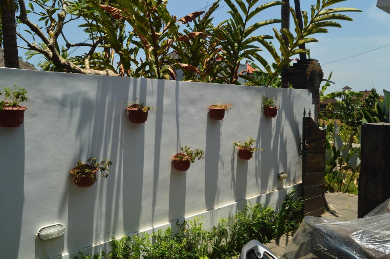 Askara Guest House & Hostel أوبود المظهر الخارجي الصورة